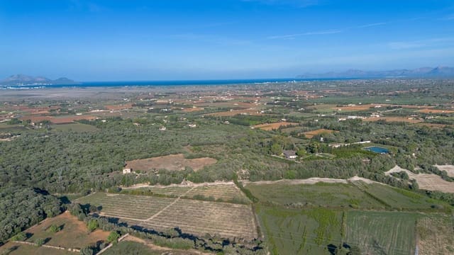 Undeveloped Land for sale in Muro - € 250,000 (Ref: 9523171)