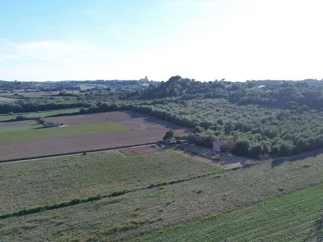 Undeveloped Land for sale in Muro - € 250,000 (Ref: 9523171)