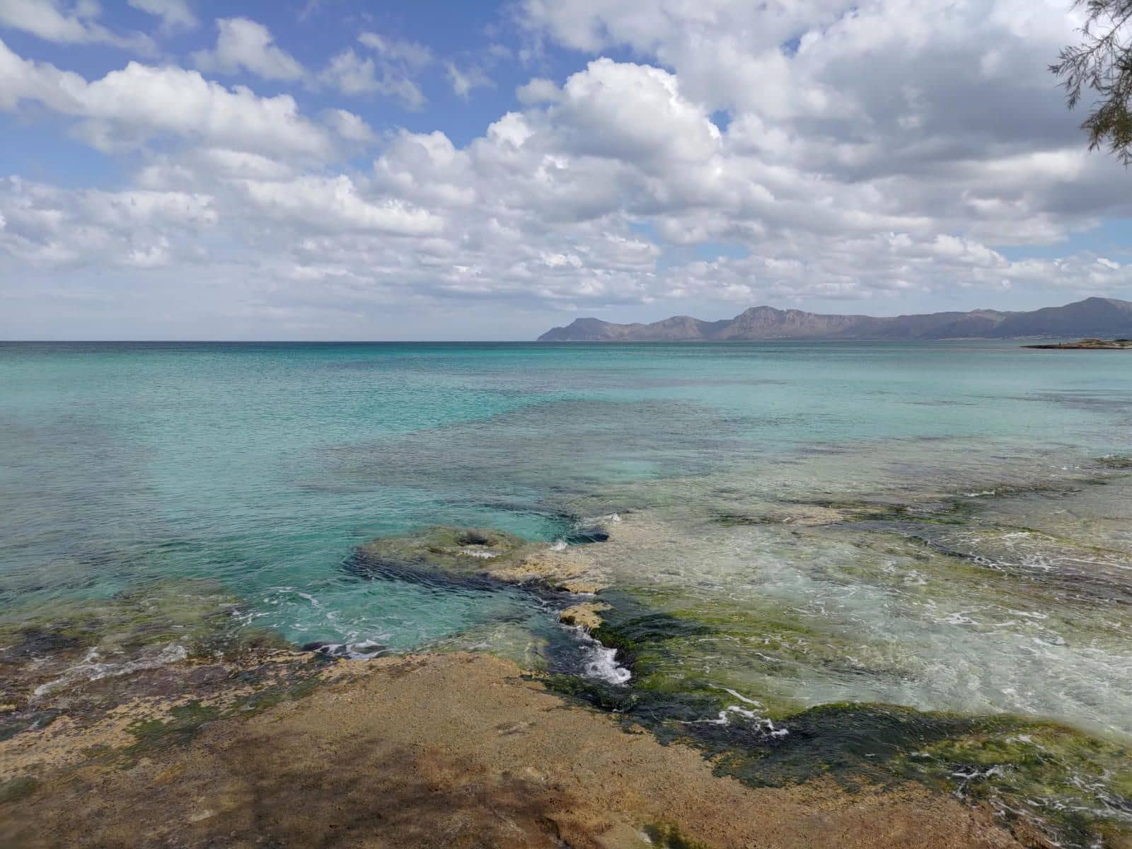 Undeveloped Land for sale in Muro - € 250,000 (Ref: 9523171)