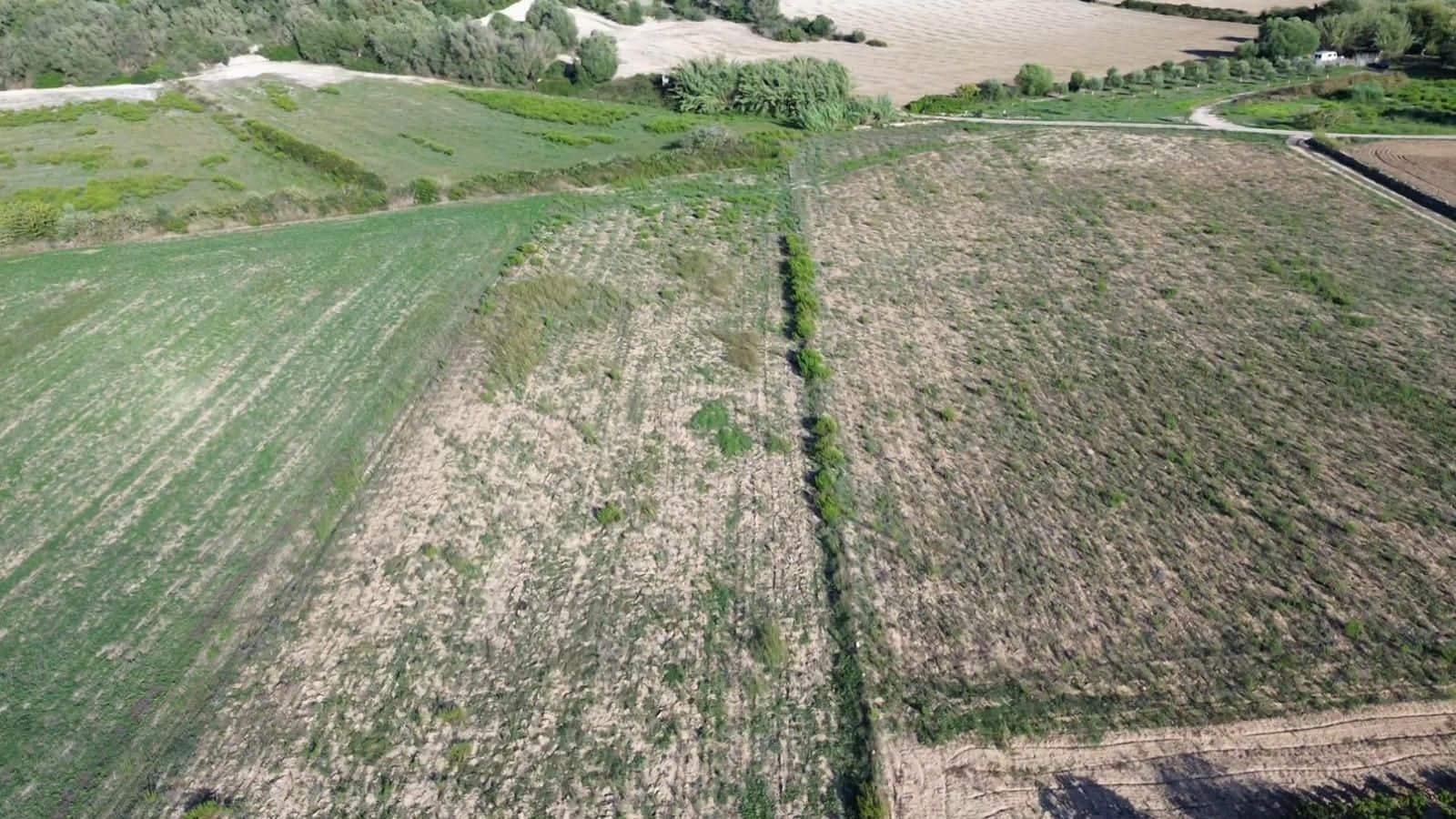 Undeveloped Land for sale in Muro - € 250,000 (Ref: 9523171)