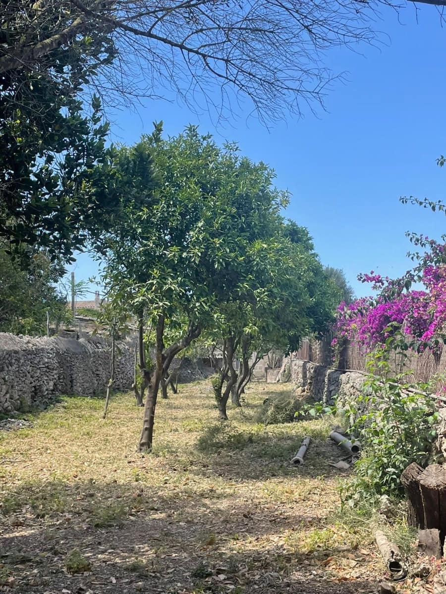 Solar/Parcela en Sencelles en venta - 250.000 € (Ref: 9523174)