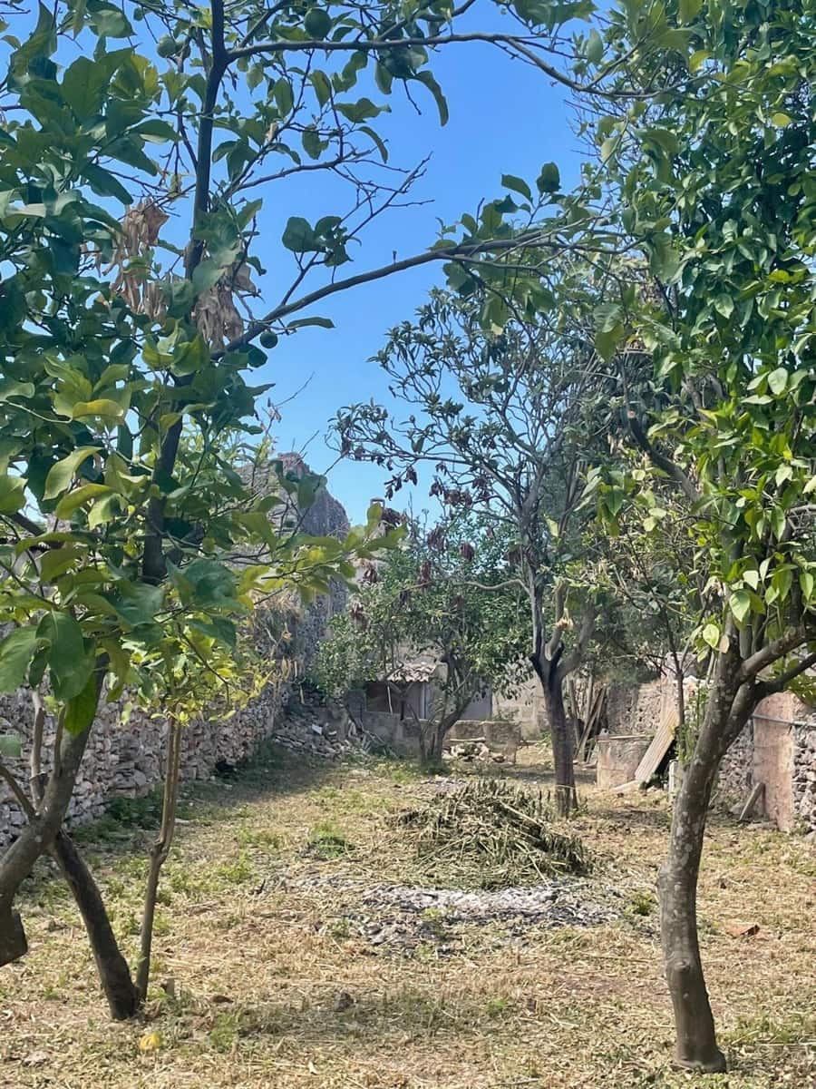 Solar/Parcela en Sencelles en venta - 250.000 € (Ref: 9523174)