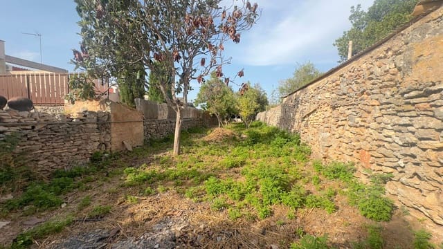 Solar/Parcela en Sencelles en venta - 250.000 € (Ref: 9523174)