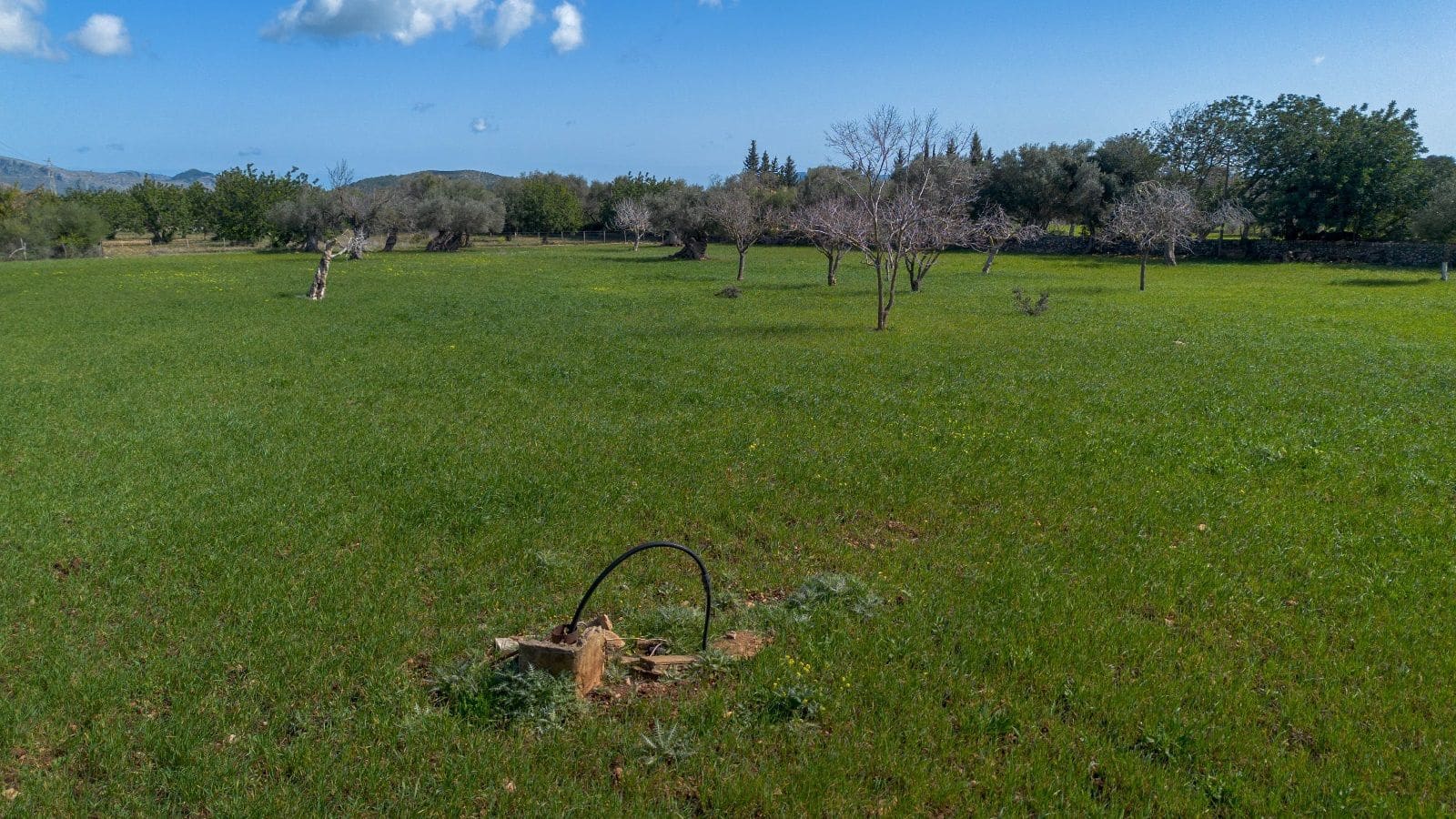 5 Zimmer Finca/Landgut zu verkaufen in Pollensa / Pollenca mit Garage - 890.000 € (Ref: 9523190)