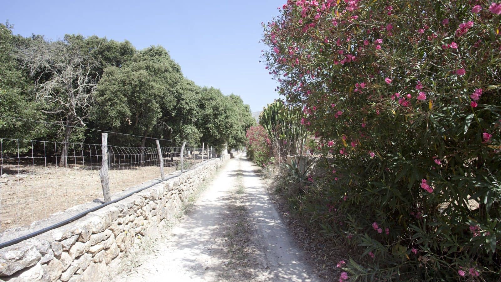 5 Zimmer Finca/Landgut zu verkaufen in Pollensa / Pollenca mit Garage - 890.000 € (Ref: 9523190)