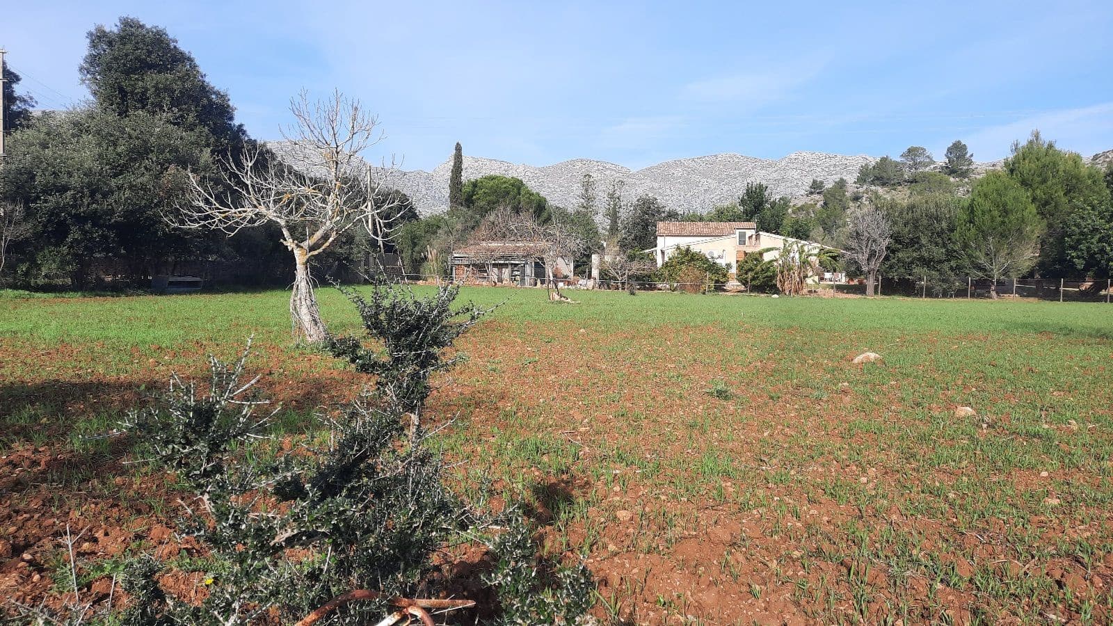 5 Zimmer Finca/Landgut zu verkaufen in Pollensa / Pollenca mit Garage - 890.000 € (Ref: 9523190)