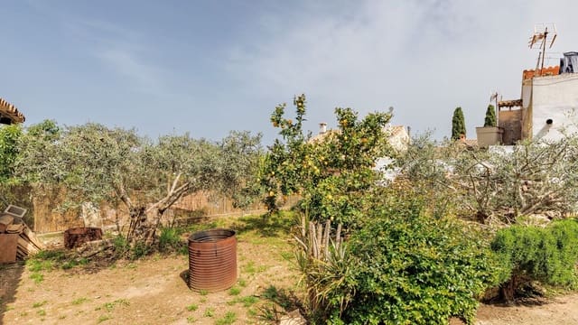 3 makuuhuone Asunto myytävänä paikassa Pollensa / Pollença - 900 000 € (Ref: 9523199)