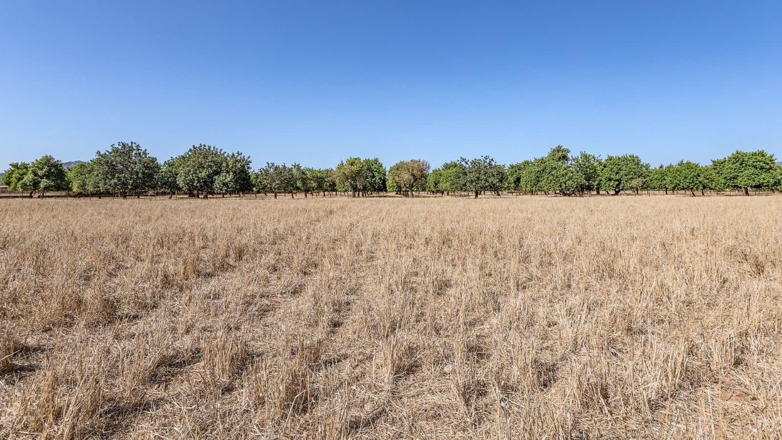 3 soverom Finca/Herregård til salgs i Campanet med garasje - € 800 000 (Ref: 9523200)