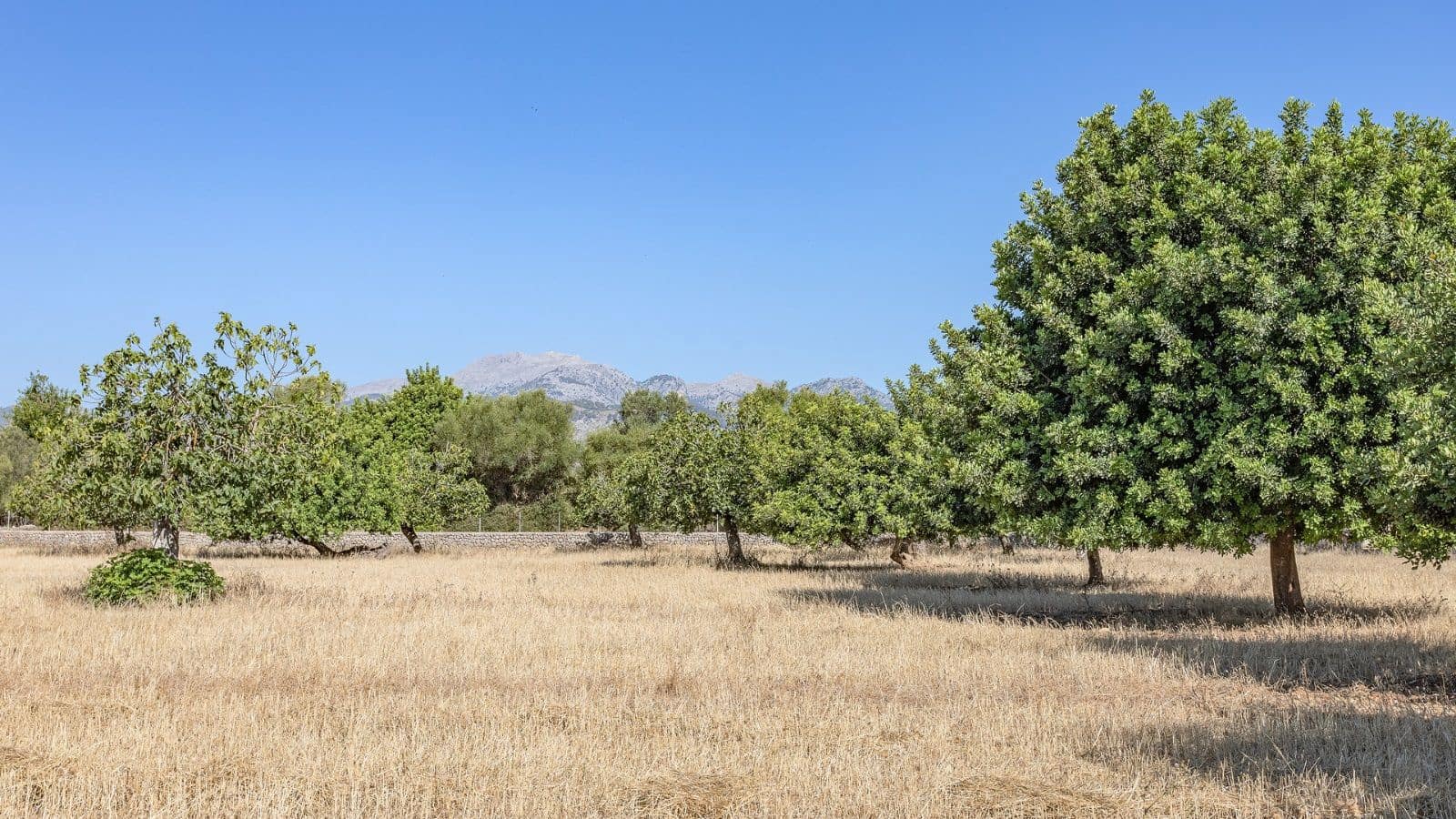 3 soverom Finca/Herregård til salgs i Campanet med garasje - € 800 000 (Ref: 9523200)