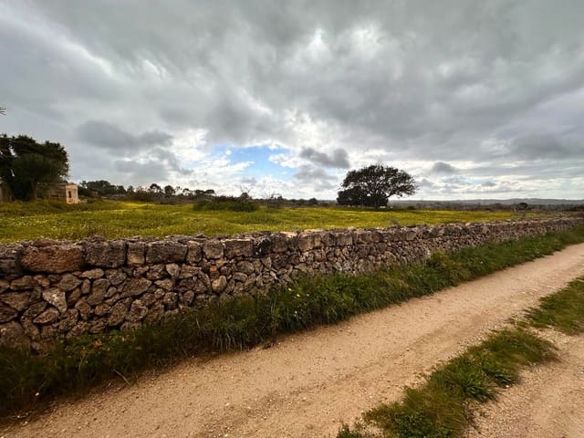 Terreno Não Urbanizado para venda em Sineu - 375 000 € (Ref: 9523201)