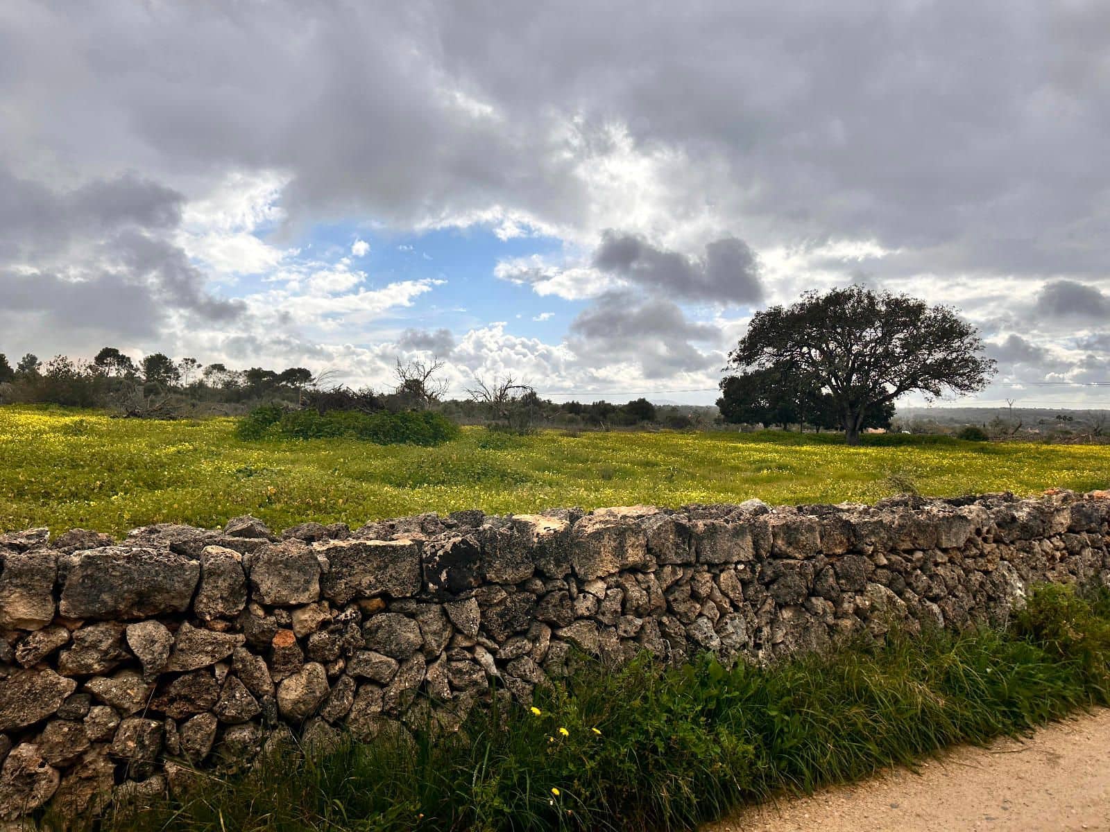 Terreno Não Urbanizado para venda em Sineu - 375 000 € (Ref: 9523201)