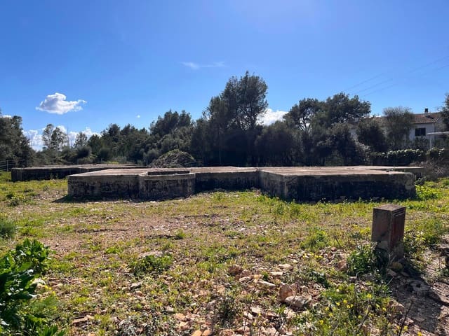 Byggetomt til salgs i Sa Pobla - € 350 000 (Ref: 9523202)