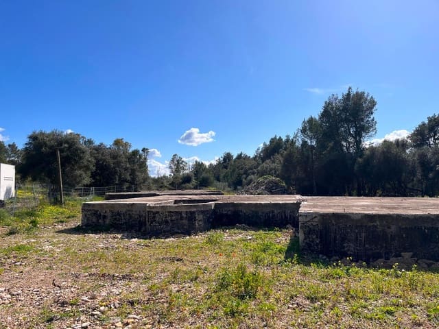 Byggetomt til salgs i Sa Pobla - € 350 000 (Ref: 9523202)