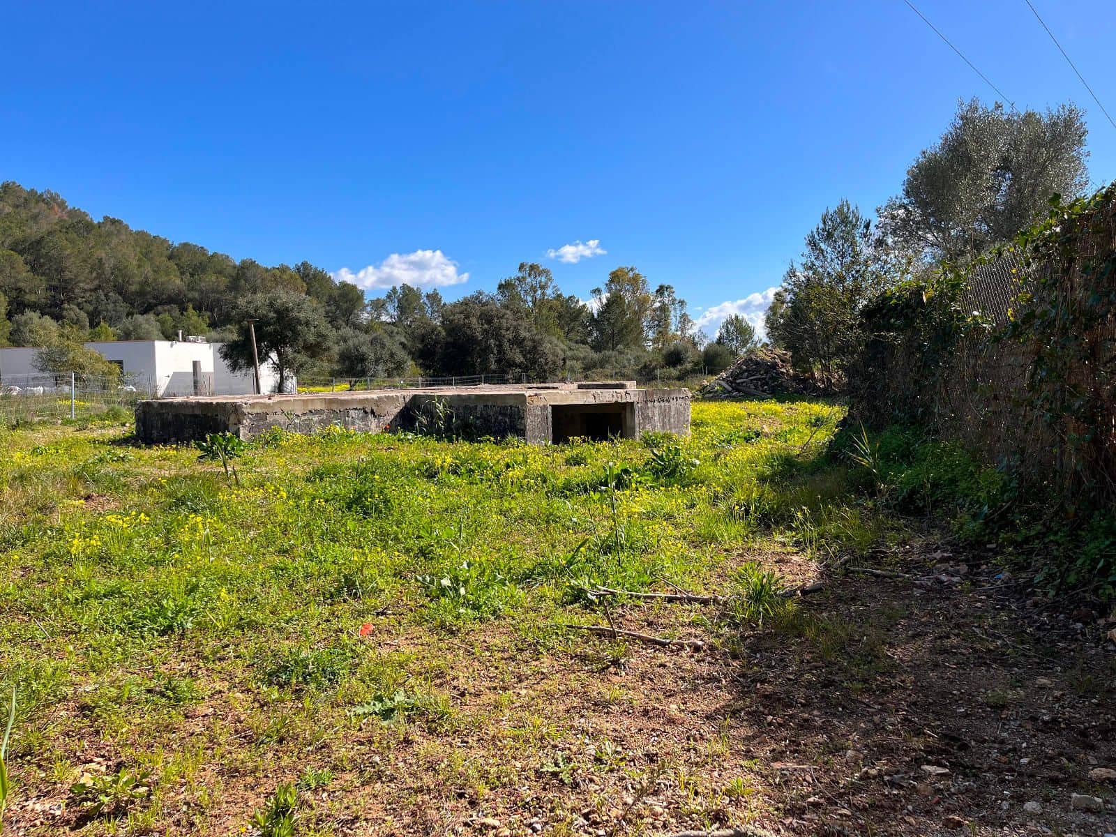 Byggetomt til salgs i Sa Pobla - € 350 000 (Ref: 9523202)