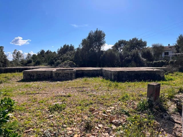 Byggetomt til salgs i Sa Pobla - € 350 000 (Ref: 9523202)