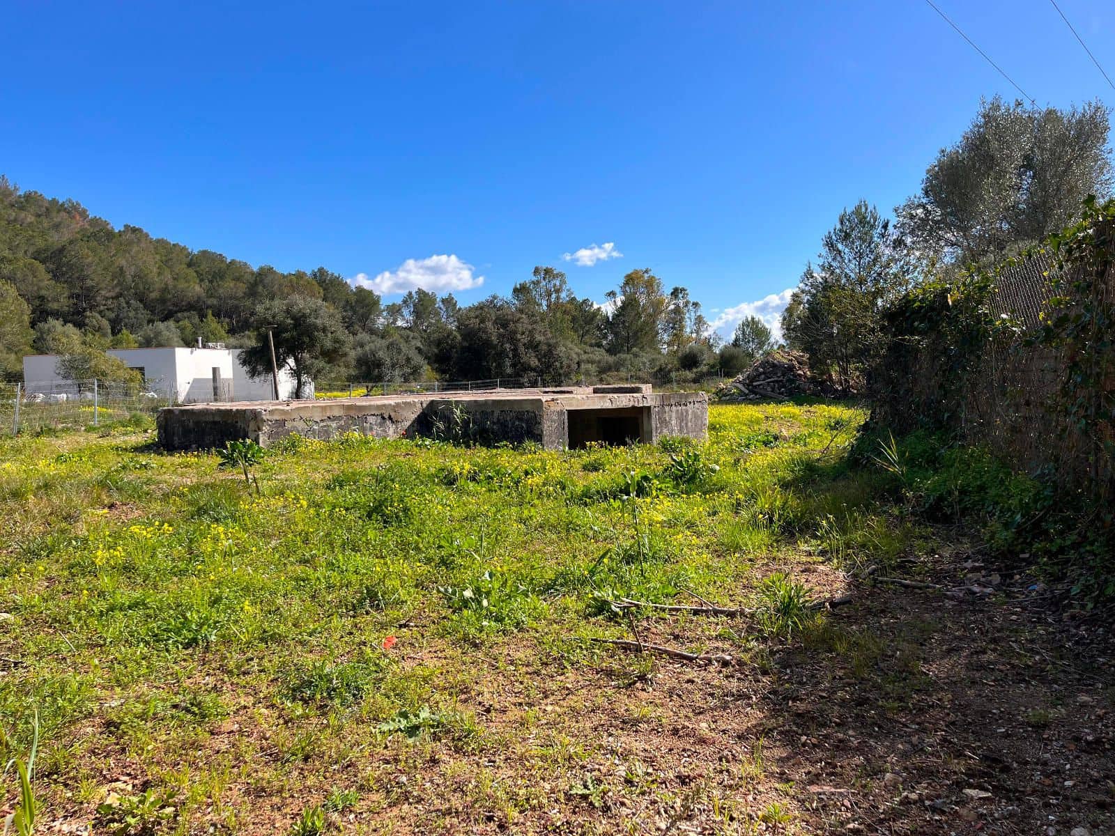 Byggetomt til salgs i Sa Pobla - € 350 000 (Ref: 9523202)