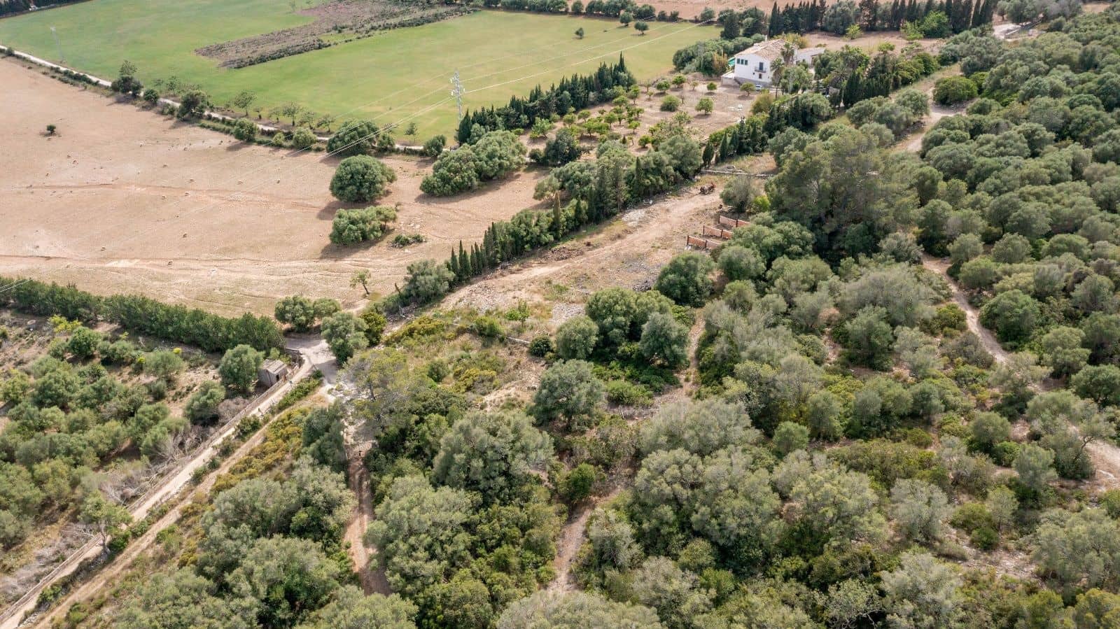 Teren niezagospodarowany na sprzedaż w Alcudia - 750 000 € (Ref: 9523203)