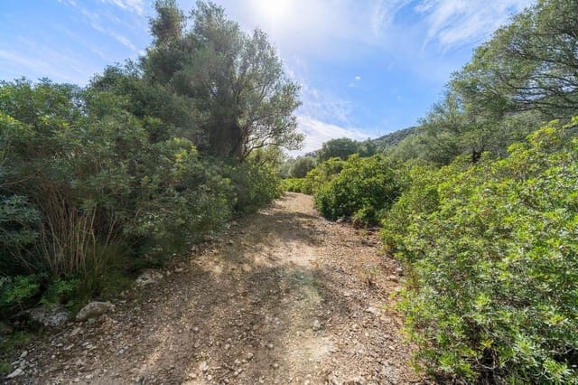 Teren niezagospodarowany na sprzedaż w Alcúdia - 750 000 € (Ref: 9523203)