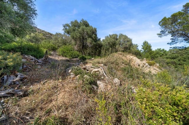 Grond te koop in Alcúdia - € 750.000 (Ref: 9523203)