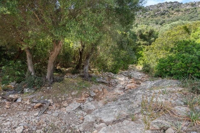Grond te koop in Alcúdia - € 750.000 (Ref: 9523203)