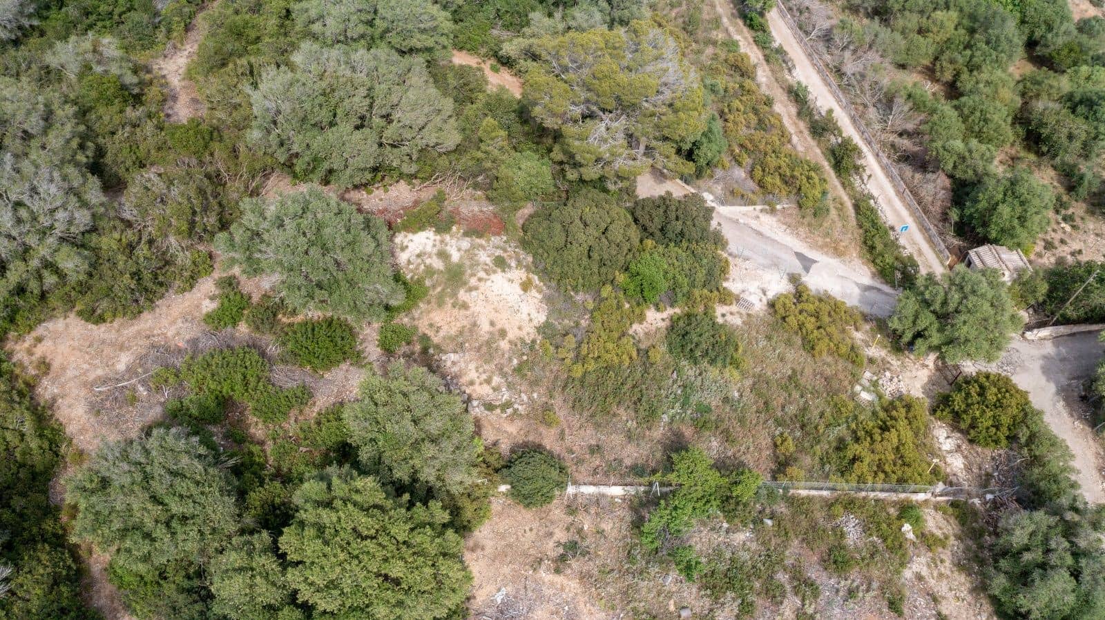 Teren niezagospodarowany na sprzedaż w Alcudia - 750 000 € (Ref: 9523203)