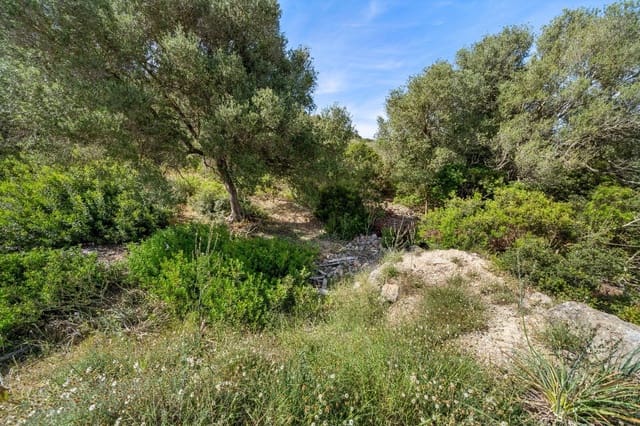 Grond te koop in Alcúdia - € 750.000 (Ref: 9523203)