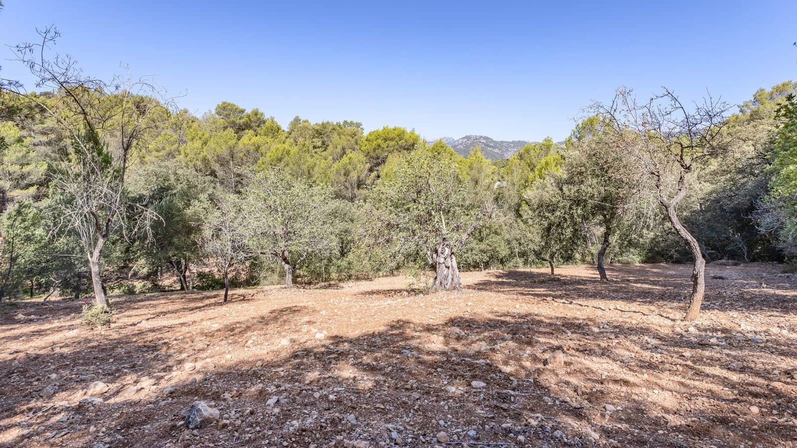 Teren niezagospodarowany na sprzedaż w Ullaro - 590 000 € (Ref: 9523213)