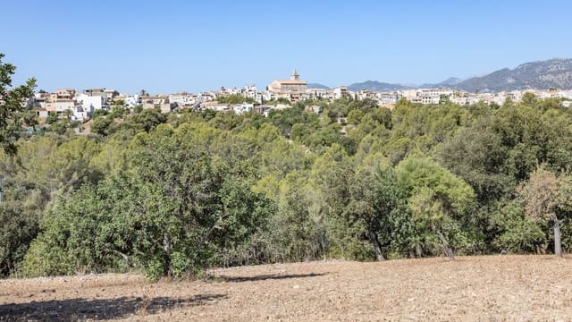 Teren niezagospodarowany na sprzedaż w Ullaro, Campanet - 590 000 € (Ref: 9523213)