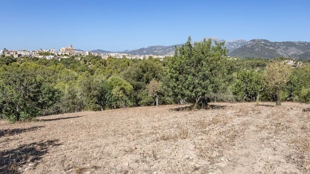 Teren niezagospodarowany na sprzedaż w Ullaro, Campanet - 590 000 € (Ref: 9523213)