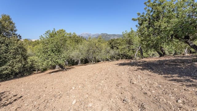 Teren niezagospodarowany na sprzedaż w Ullaro, Campanet - 590 000 € (Ref: 9523213)