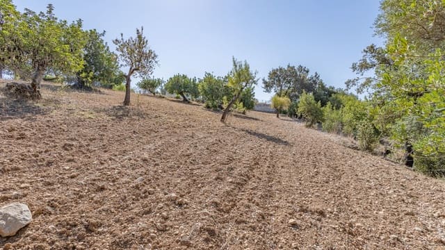 Teren niezagospodarowany na sprzedaż w Ullaro, Campanet - 590 000 € (Ref: 9523213)