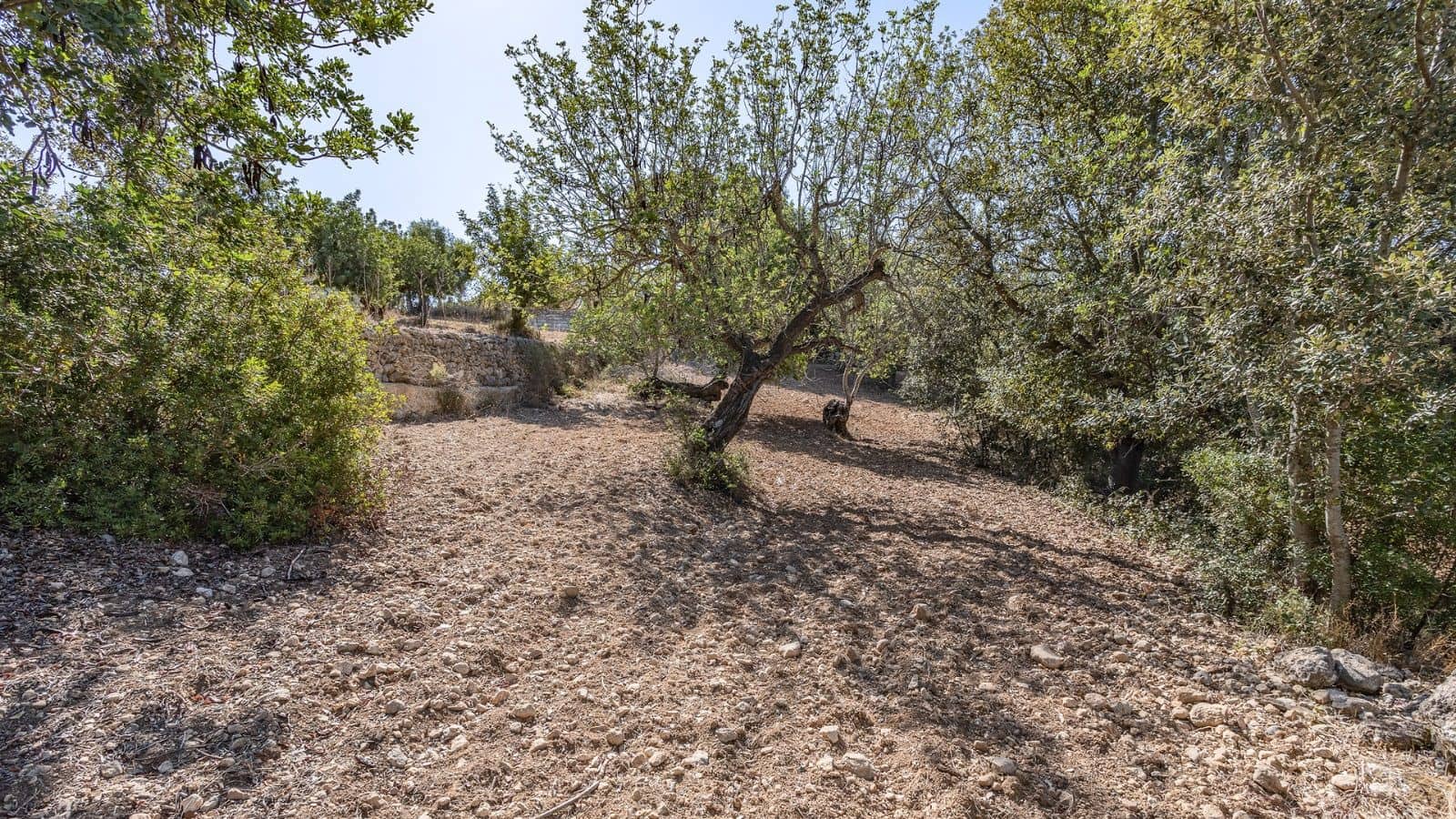 Teren niezagospodarowany na sprzedaż w Ullaro - 590 000 € (Ref: 9523213)