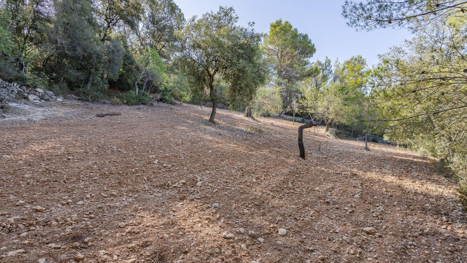 Teren niezagospodarowany na sprzedaż w Ullaro - 590 000 € (Ref: 9523213)