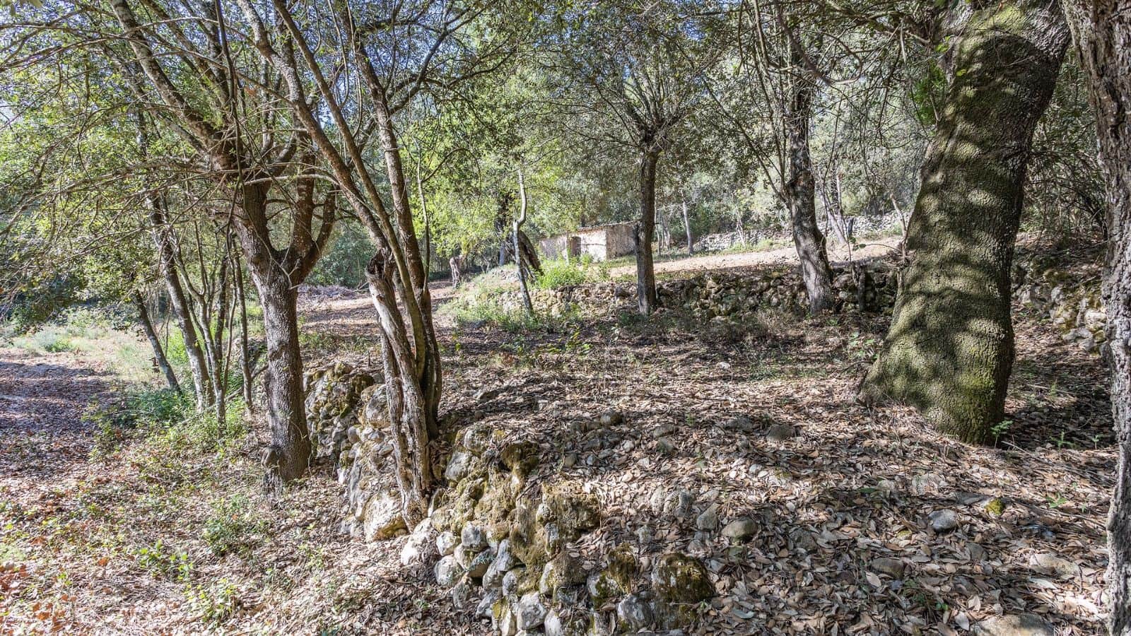 Teren niezagospodarowany na sprzedaż w Ullaro - 590 000 € (Ref: 9523213)