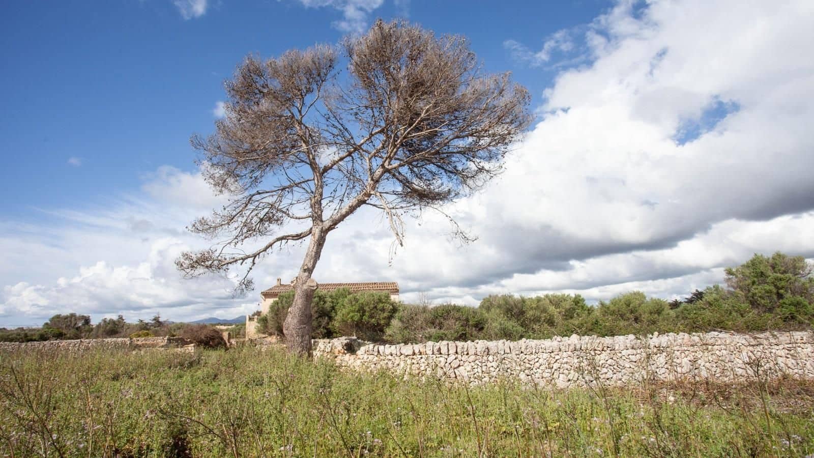 Finca/Herregård til salgs i Cala Anguila med garasje - € 1 750 000 (Ref: 9523216)