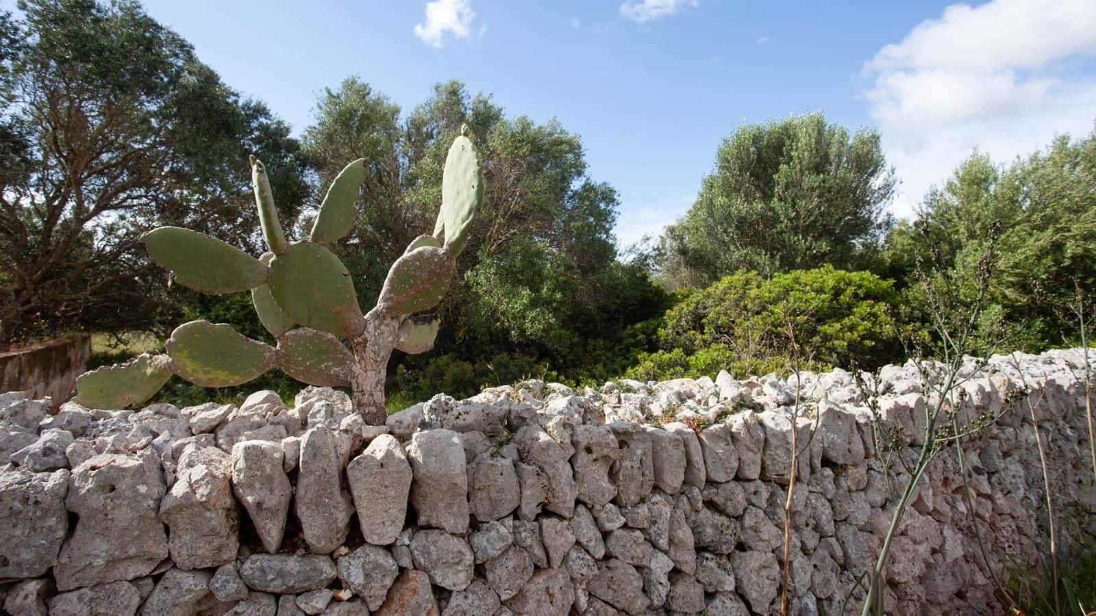 Finca/Herregård til salgs i Cala Anguila med garasje - € 1 750 000 (Ref: 9523216)