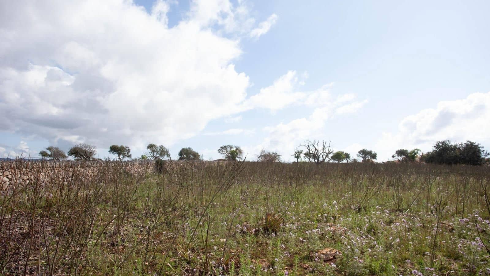 Finca/Herregård til salgs i Cala Anguila med garasje - € 1 750 000 (Ref: 9523216)