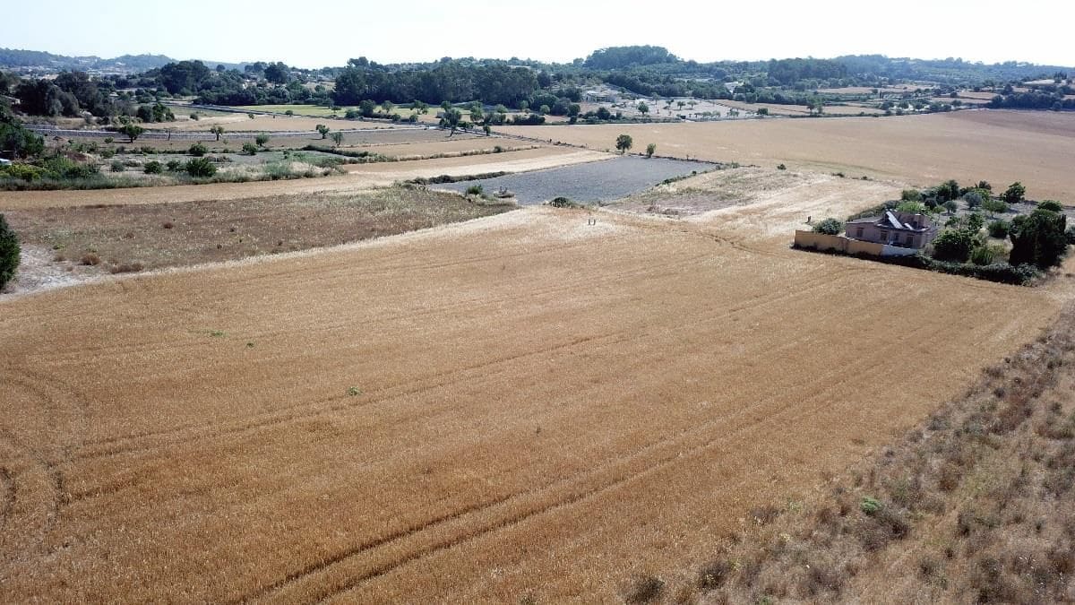 4 chambre Finca/Maison de Campagne à vendre à Sant Joan avec piscine - 2 070 000 € (Ref: 9523217)