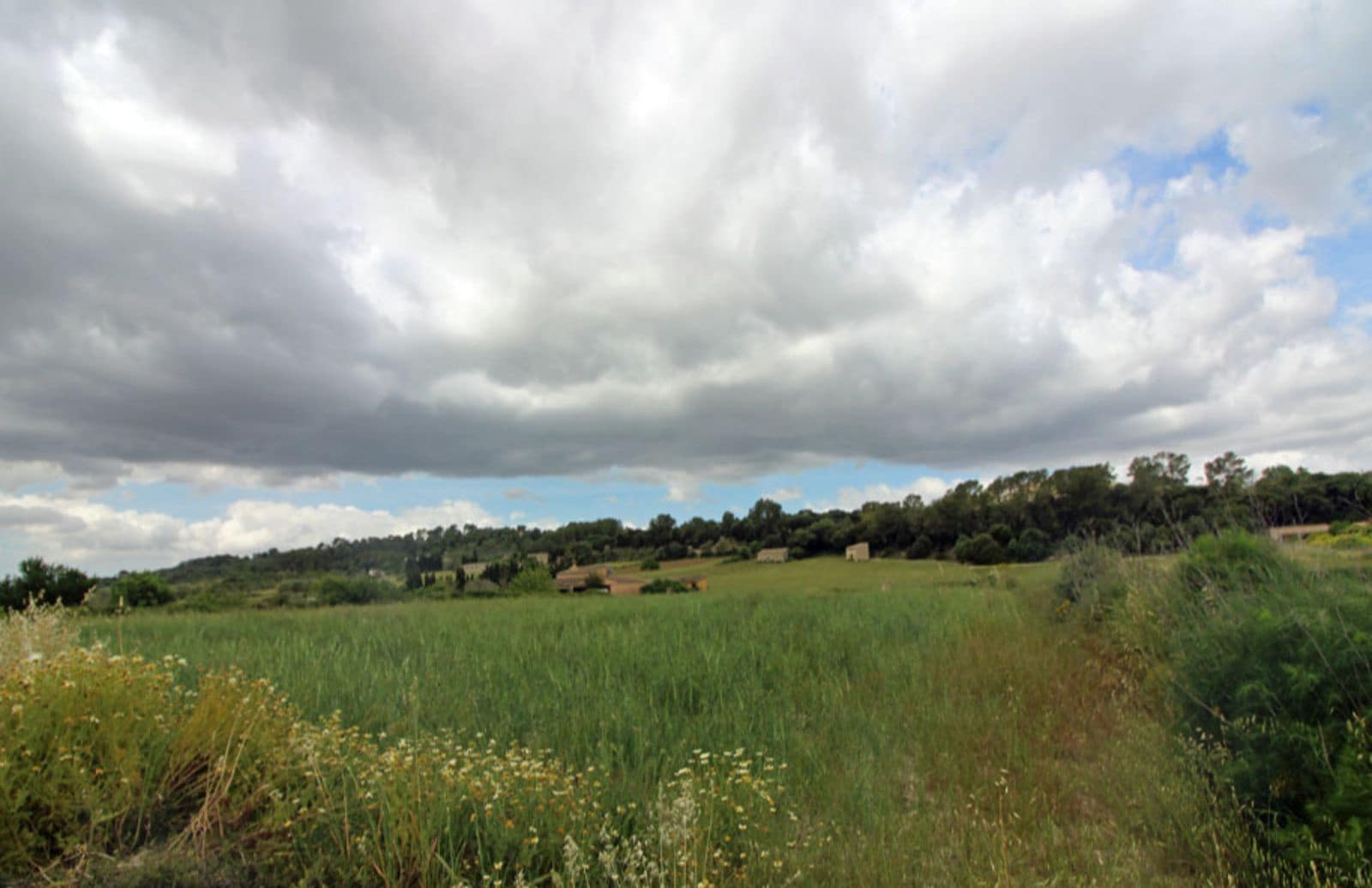 4 chambre Finca/Maison de Campagne à vendre à Sant Joan avec piscine - 2 070 000 € (Ref: 9523217)