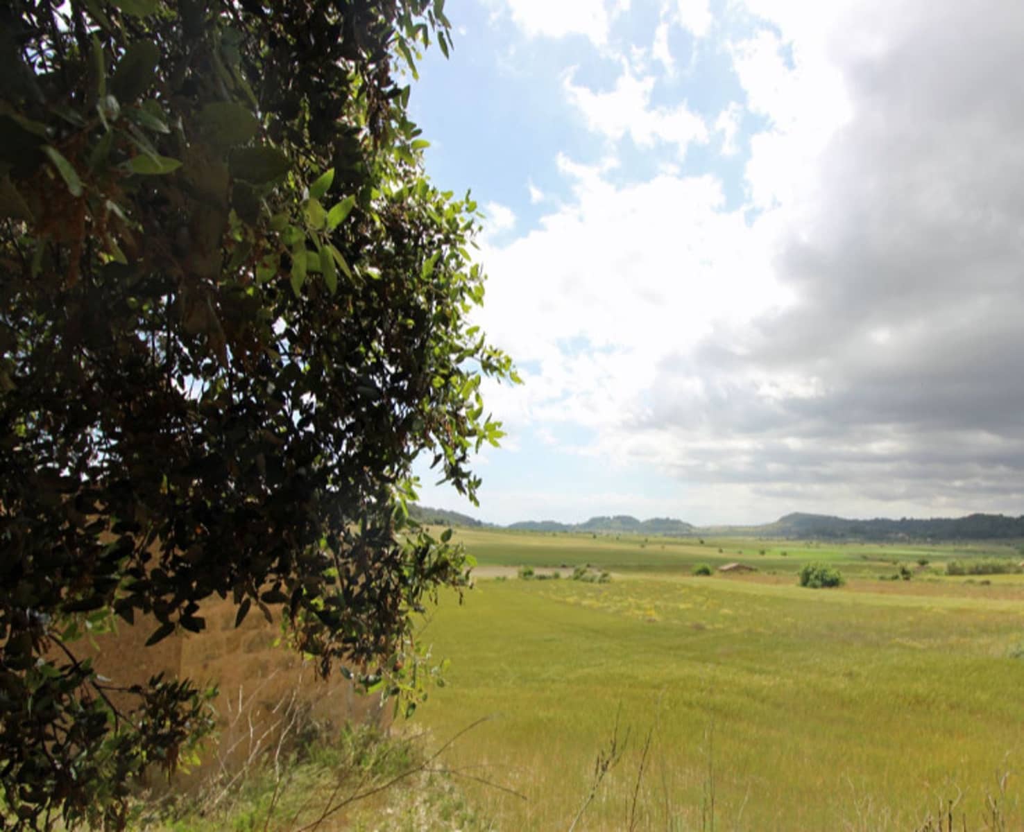 4 chambre Finca/Maison de Campagne à vendre à Sant Joan avec piscine - 2 070 000 € (Ref: 9523217)