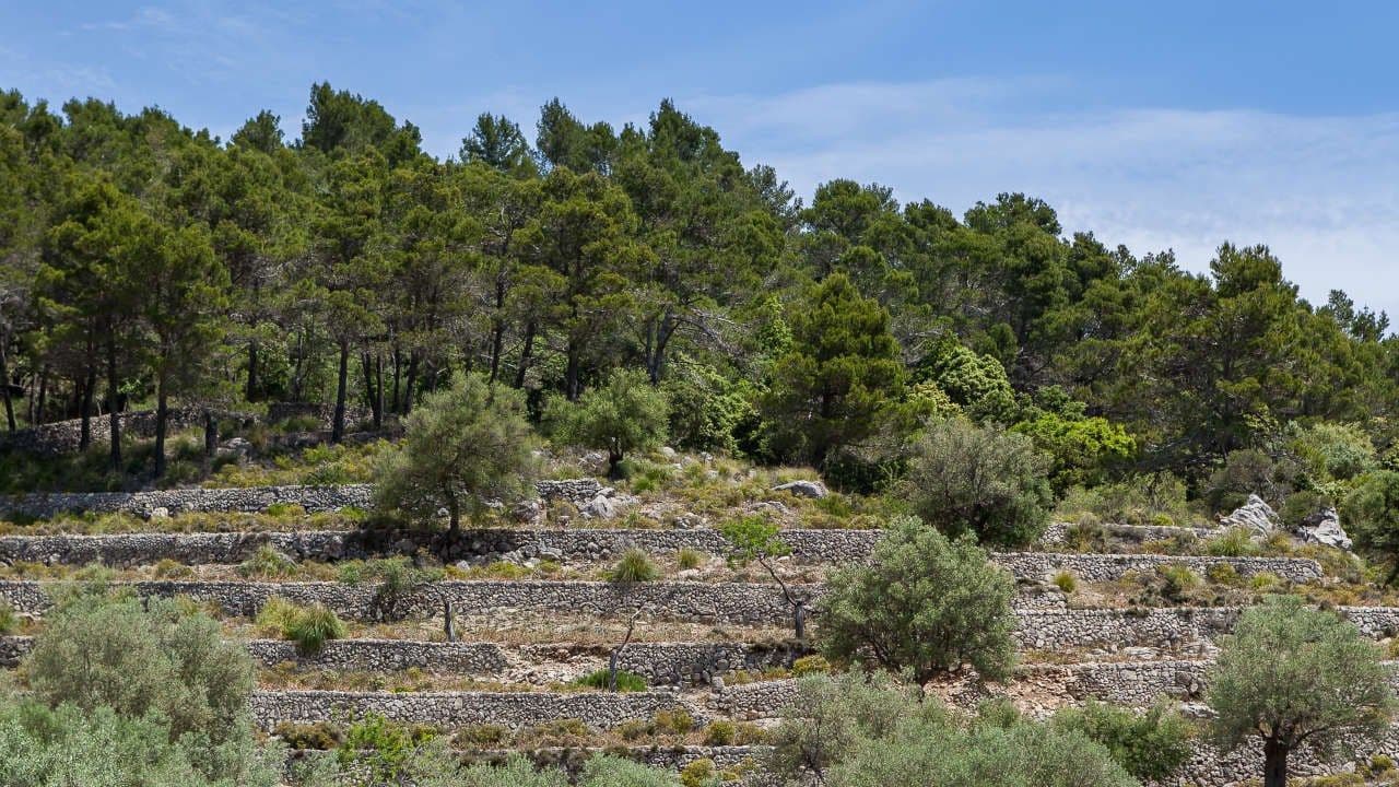 13 Zimmer Finca/Landgut zu verkaufen in Escorca mit Garage - 5.500.000 € (Ref: 9523219)