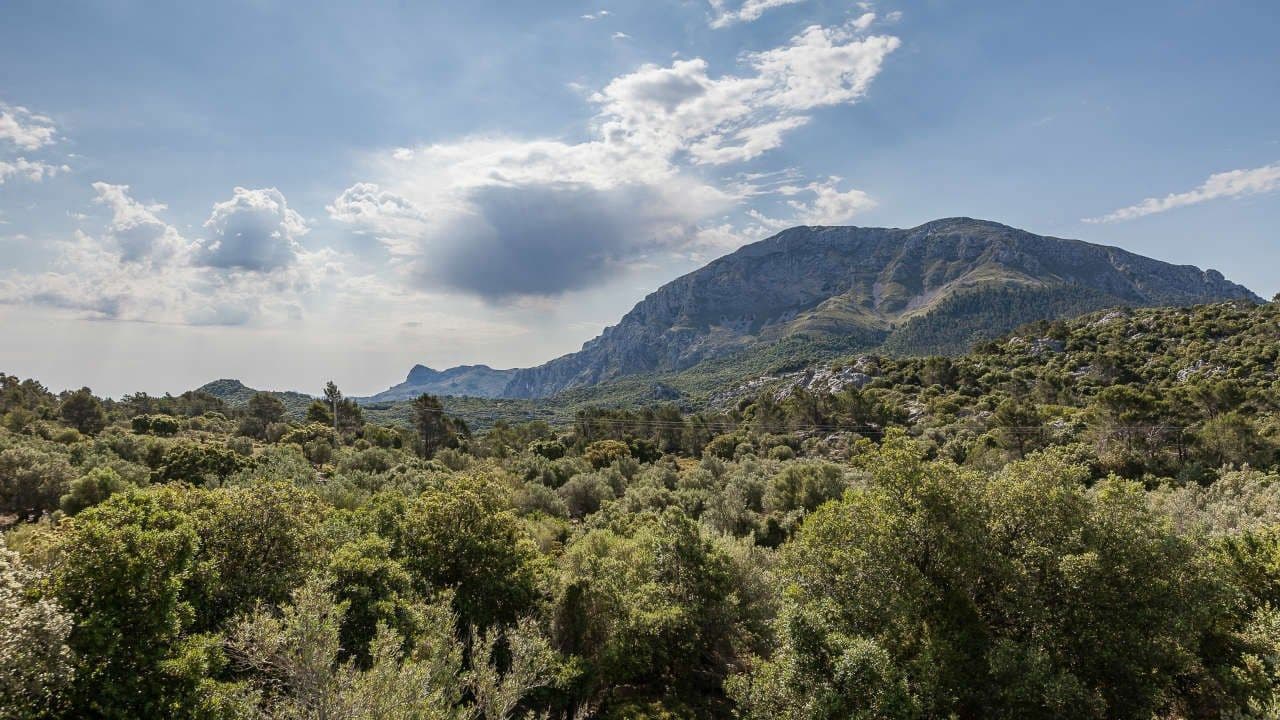 13 Zimmer Finca/Landgut zu verkaufen in Escorca mit Garage - 5.500.000 € (Ref: 9523219)