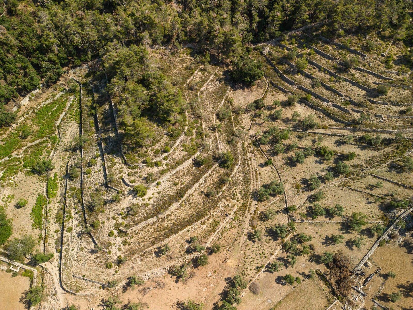 13 Zimmer Finca/Landgut zu verkaufen in Escorca mit Garage - 5.500.000 € (Ref: 9523219)