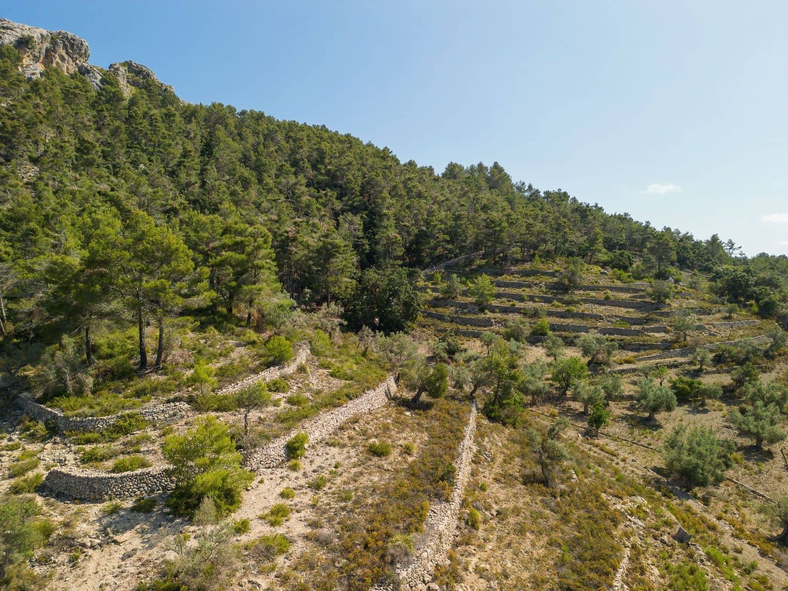 13 Zimmer Finca/Landgut zu verkaufen in Escorca mit Garage - 5.500.000 € (Ref: 9523219)