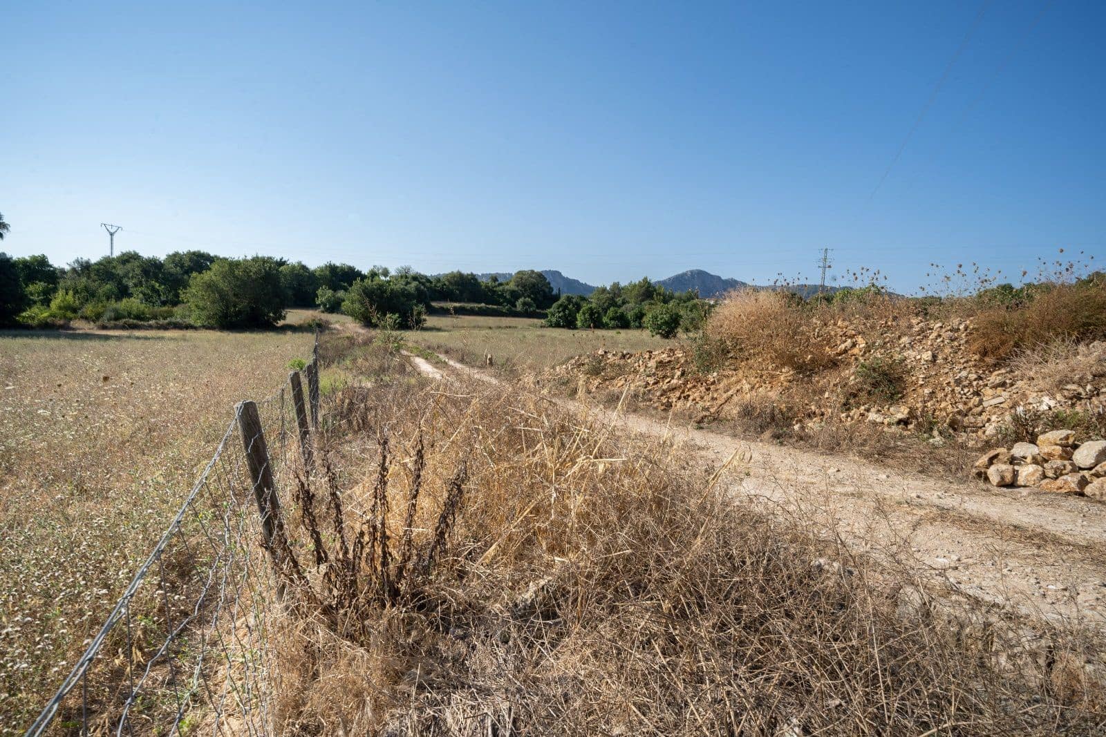 Mark till salu i Pollensa / Pollenca - 2 000 000 € (Ref: 9523225)