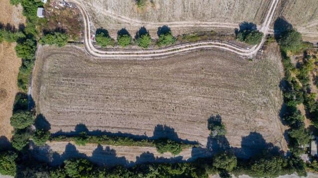 Mark till salu i Pollensa / Pollença - 2 000 000 € (Ref: 9523225)