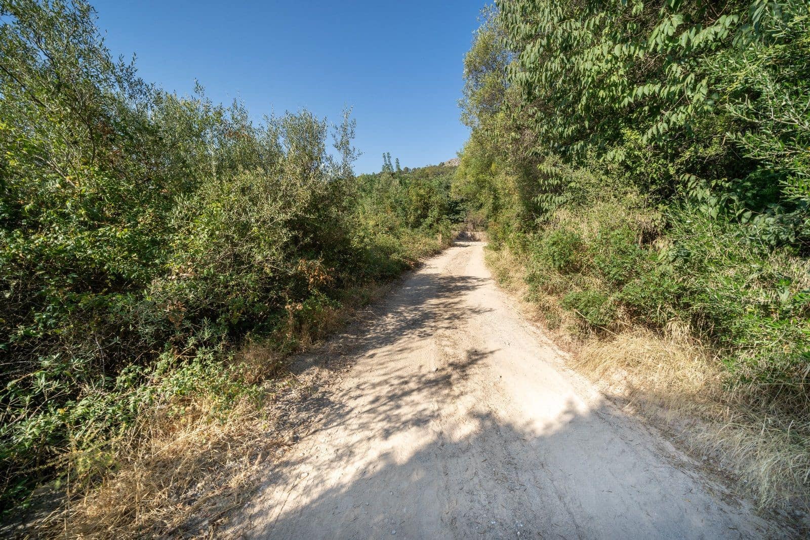 Mark till salu i Pollensa / Pollenca - 2 000 000 € (Ref: 9523225)