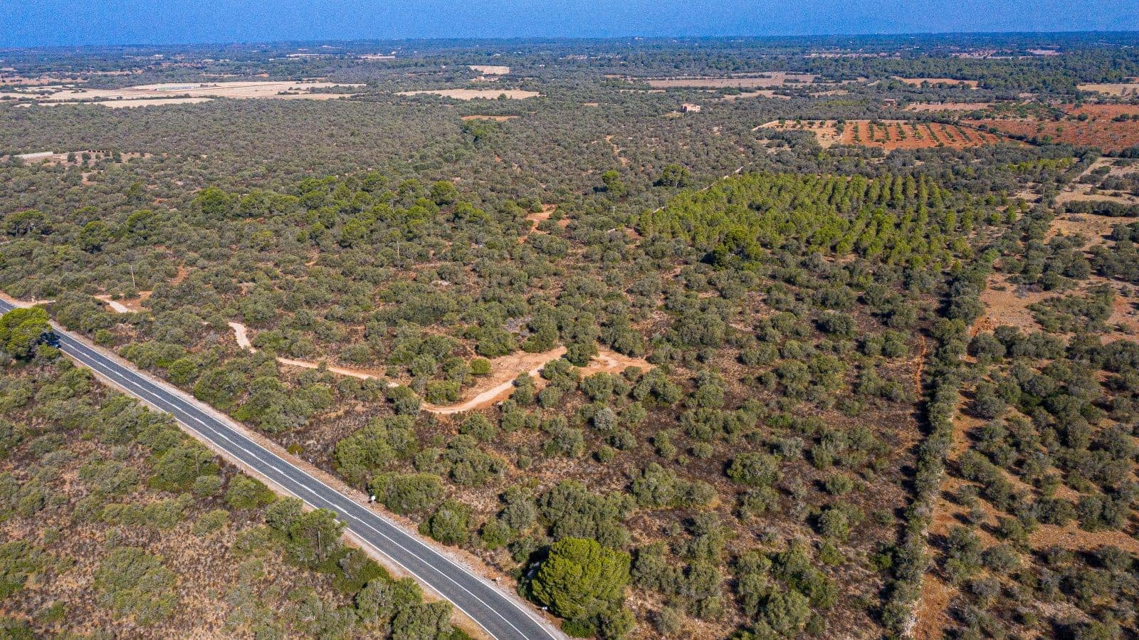 Undeveloped Land for sale in Llucmajor - € 980,000 (Ref: 9523226)