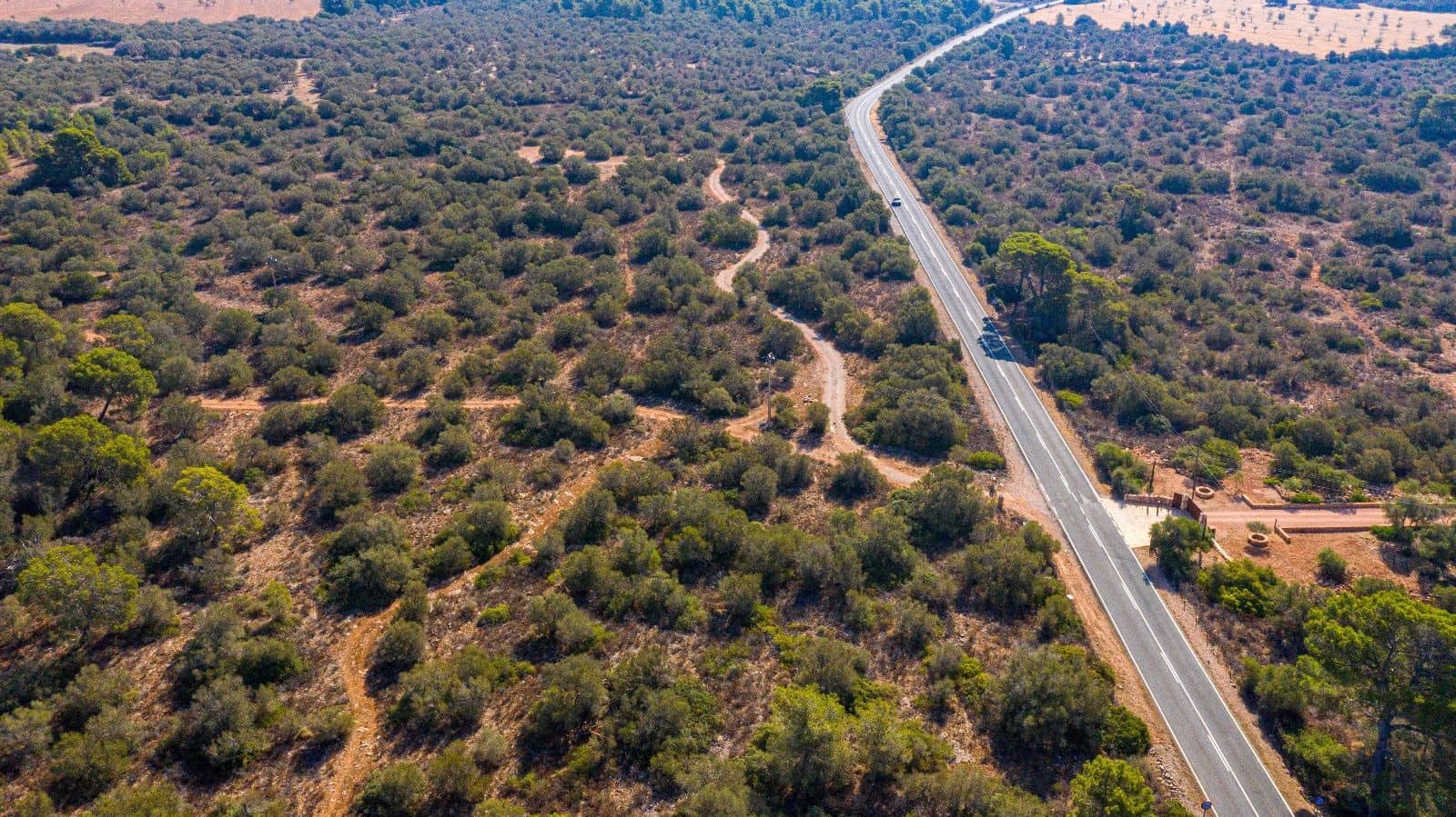 Undeveloped Land for sale in Llucmajor - € 980,000 (Ref: 9523226)