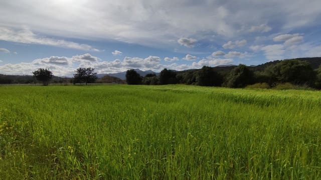 Rakentamaton maa myytävänä paikassa Campanet - 320 000 € (Ref: 9523228)